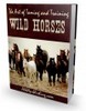 Thumbnail The Art Of Taming And Training Wild Horses- with PLR + BONUS Thumbnail The Art Of Taming And Training Wild Horses- with PLR + BONUS