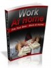 Thumbnail The Work At Home Guide - with an UNANNOUNCED BONUS!
