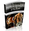 Thumbnail Muscle Building System Thumbnail Muscle Building System