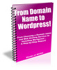 Thumbnail From Domain Name to Wordpress