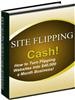 Thumbnail How to Turn Flipping Websites Into $40,000 a Month Business