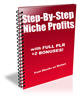 Thumbnail Step By Step Niche Profits