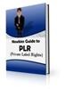 Thumbnail Newbie's Guide to PLR