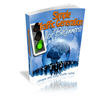 Thumbnail Simple Traffic Generation for Beginners - MRR + 2 BONUSES!
