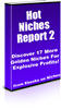 Thumbnail Hot Niches Report 2 - Master Resell Rights+2 Mystery BONUSES