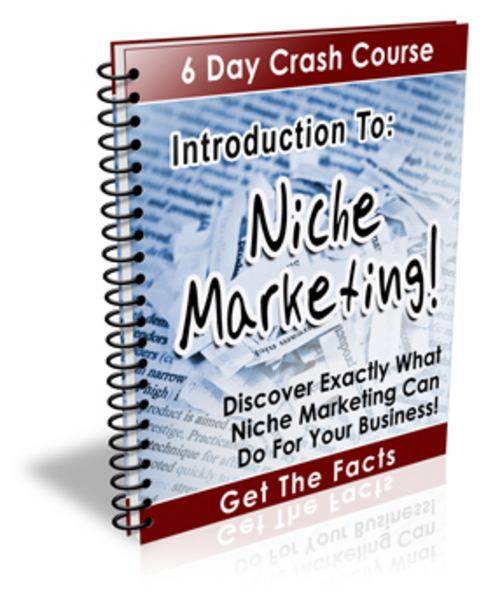 Product picture Introduction To Niche Marketing Ecourse - with PLR + BONUS!