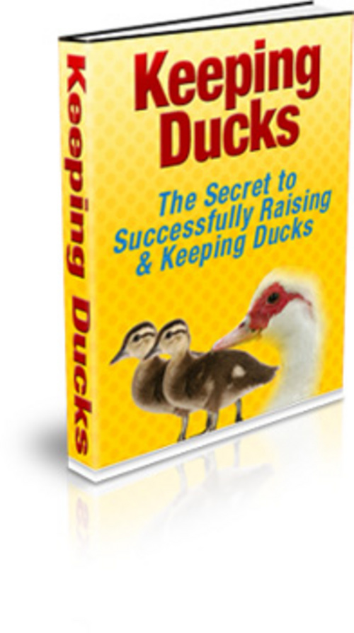 Product picture Keeping Ducks - with Private Label Rights + MYSTERY BONUS!