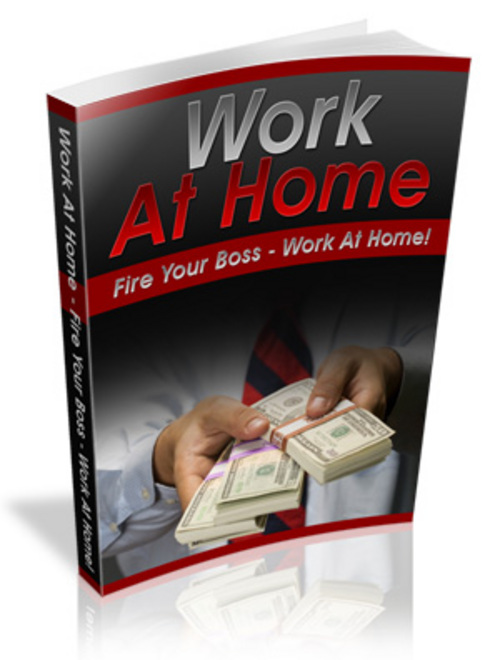 Product picture The Work At Home Guide - with an UNANNOUNCED BONUS!