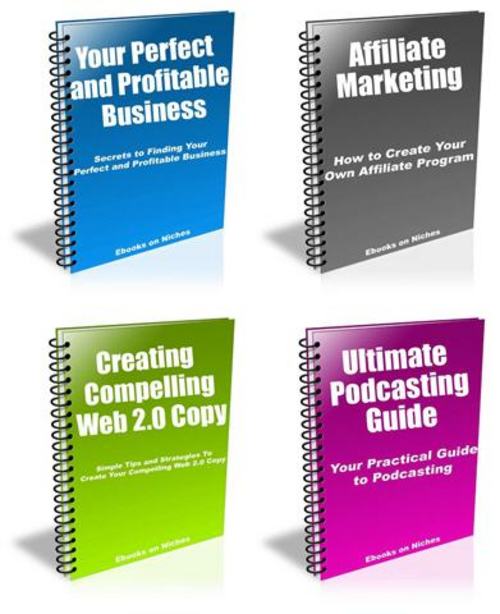 Product picture 4 PRO Internet Marketing Guides for Newbies - with a BONUS!