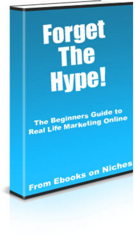 Product picture The Beginners Guide to Real Life Marketing Online