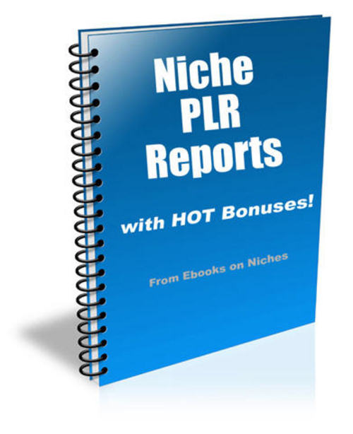Product picture 9 HOT Niche Reports - with FULL Private Label Rights + BONUS