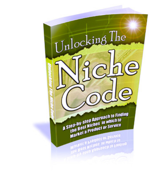 Product picture Unlocking The Niche Code - with FULL PLR + Mystery BONUS!
