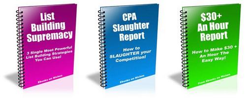 Product picture 3 HOT Reports - with FULL Private Label Rights + BONUSES!