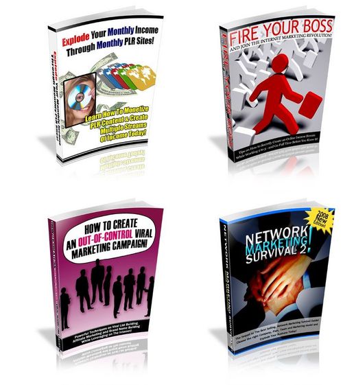 Product picture 4 HOT Reports - with FULL Private Label Rights + BONUSES!