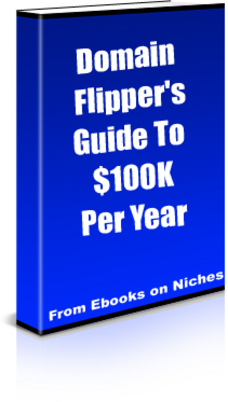 Product picture Domain Flippers Guide To $100K Per Year-MRR+Mystery BONUSES
