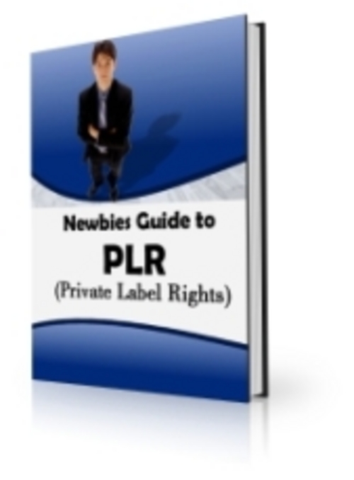 Product picture Newbies Guide To PLR - with FULL PLR + 2 Mystery BONUSES!