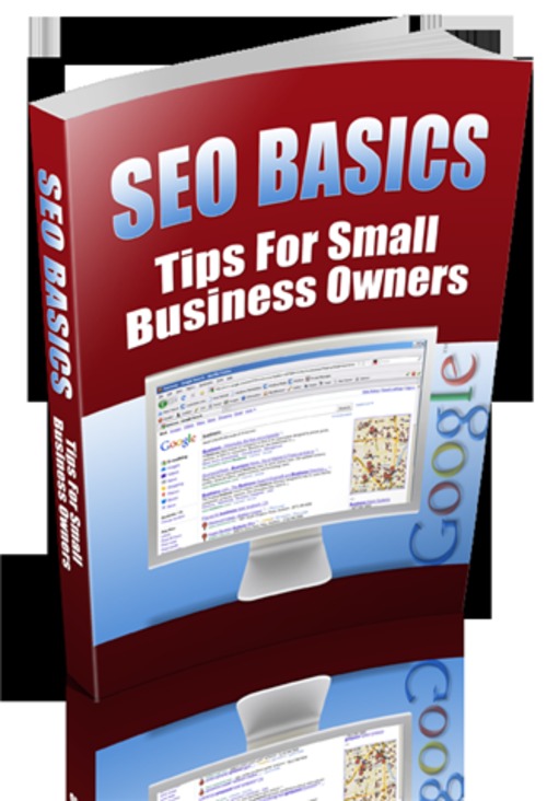 Product picture SEO Basics - with Private Label Rights + 2 Mystery BONUSES!