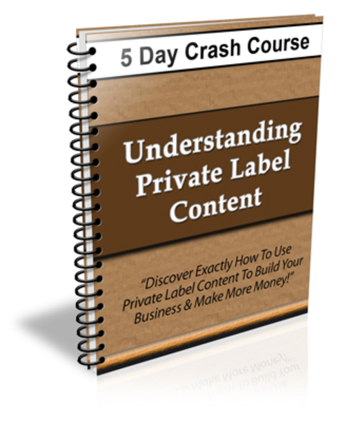 Product picture Understanding Private Label Content Course - PLR + 2 BONUSES