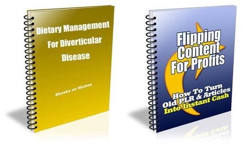 Product picture 2 High-Quality Reports -  with Private Label Rights+BONUSES!